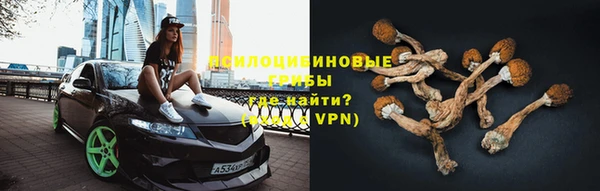 марки nbome Вяземский