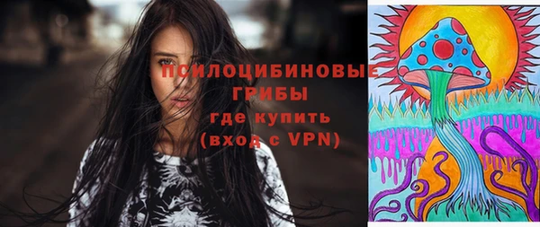 марки nbome Вяземский