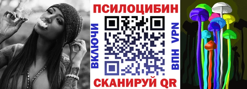 Купить где Чаплыгин Галлюциногенные грибы ЛСД